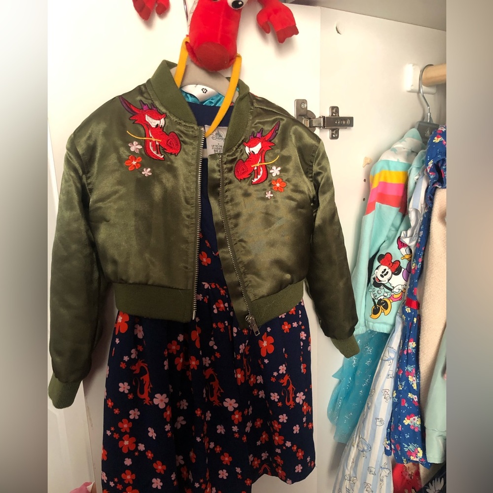 Disney Mulan dress